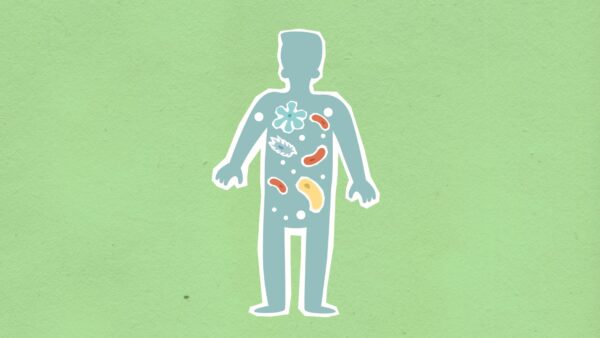 Kaip atkurti žarnyno mikrofloros pusiausvyrą po antibiotikų kurso: praktinis 30 dienų planas